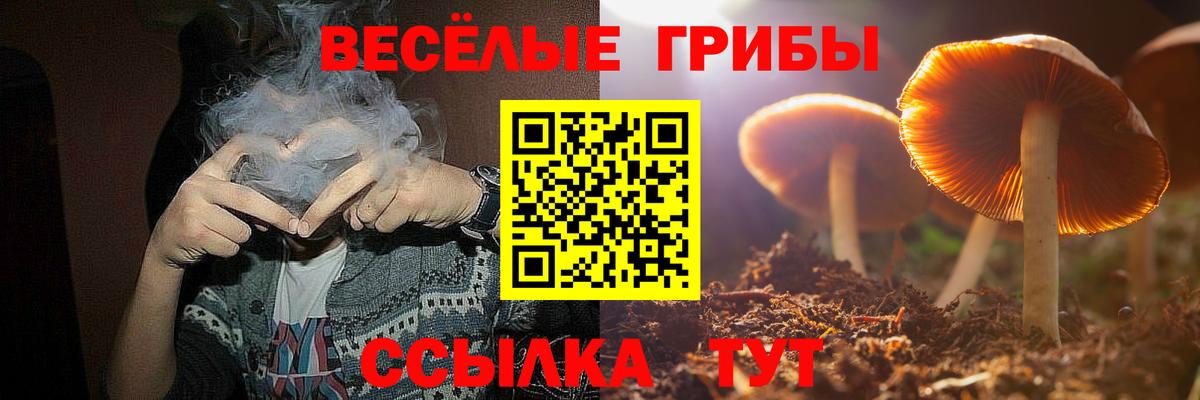 Псилоцибиновые грибы Magic Shrooms Октябрьский